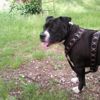 Photo de profil de Boomker