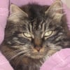 Photo de Mimolette-wuly