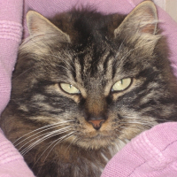 Photo de profil de Mimolette-wuly