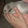 Photo de Christal