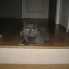 Photo de Téo
