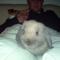 Photo de profil de Ezio