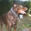 Photo de Booba