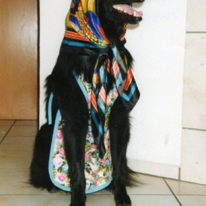 Photo de profil de Merlin