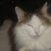 Photo de profil de Loulou