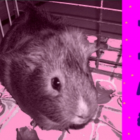 Photo de profil de Jane