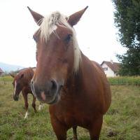 Photo de profil de Pandora