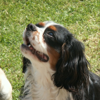 Photo de profil de Willy