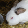 Photo de Bébé