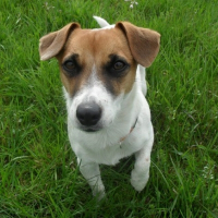 Photo de profil de Elsie