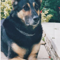 Photo de profil de Titan