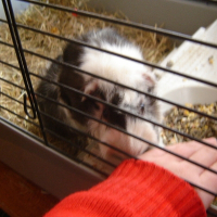 Photo de profil de Tac