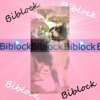Photo de Biblock