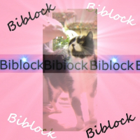 Photo de profil de Biblock