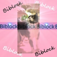 Photo de profil de Biblock