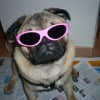 Photo de Djoey