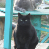 Photo de Filou
