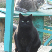 Photo de profil de Filou