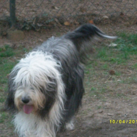 Photo de profil de Scoubidou