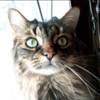 Photo de profil de Molly
