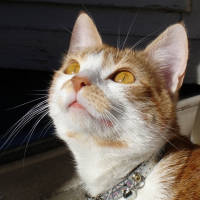 Photo de profil de Barbouille 
