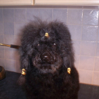 Photo de profil de Sonnie