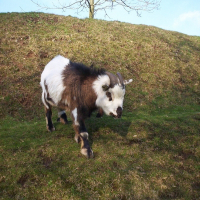 Photo de profil de Valentin