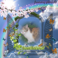 Photo de profil de Minette