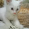 Photo de Frosty