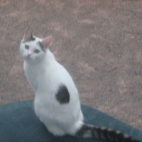Photo de profil de Caline