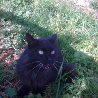 Photo de profil de Léia