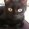 Photo de Filou