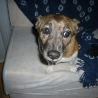 Photo de profil de Ralph