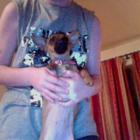 Photo de profil de Miley