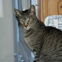 Photo de profil de Byzance