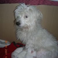 Photo de profil de Chikita