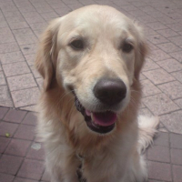 Photo de profil de Crystal