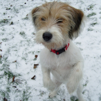 Photo de profil de Loki