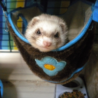 Photo de profil de Tania