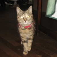 Photo de profil de Passoa 