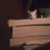 Photo de Maussy
