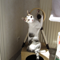 Photo de profil de Ermès