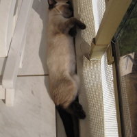 Photo de profil de Eliot