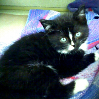 Photo de profil de Jasmine
