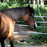 Photo de profil de Solem