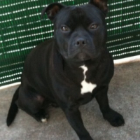 Photo de profil de Hades