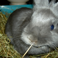 Photo de profil de Terminator