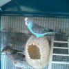 Photo de Bounty