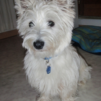 Photo de profil de Eddy
