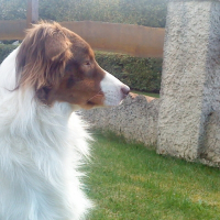 Photo de profil de Dan'can